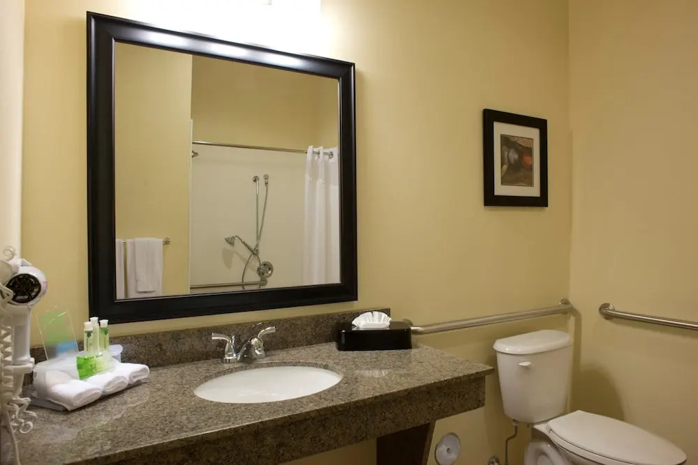 Holiday Inn Express Prattville South