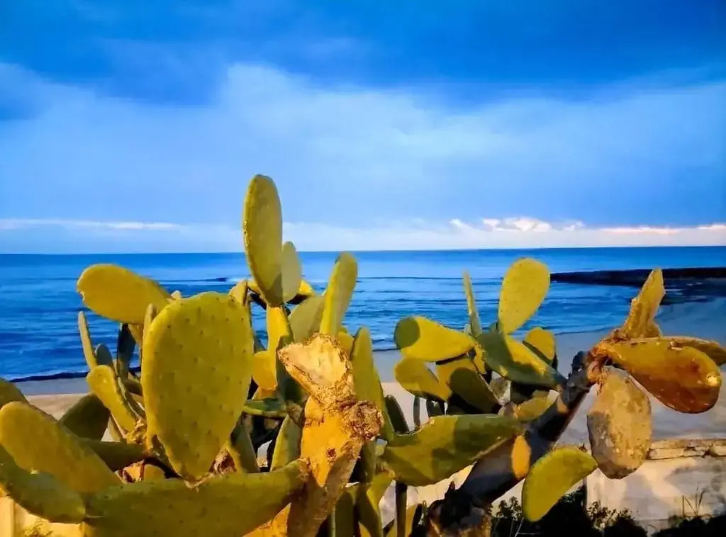 GALLIPOLI a pochi passi dal mare - LIDO SAN GIOVANNI