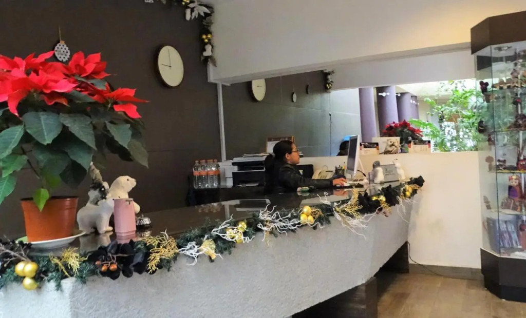Hotel Jardines del Centro