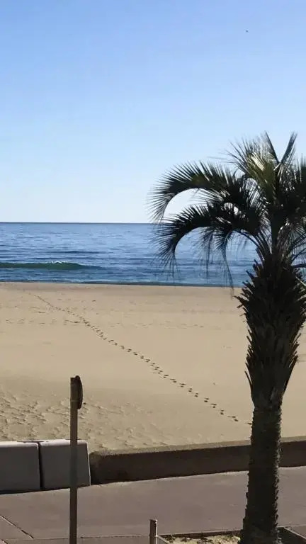 Appartement de 2 chambres a Canet en Roussillon
