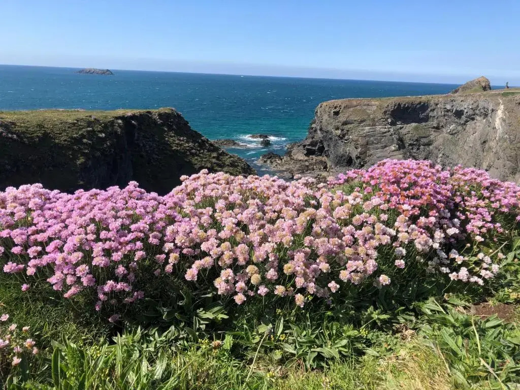 May House Fantastic holiday home in the heart of Cornwall