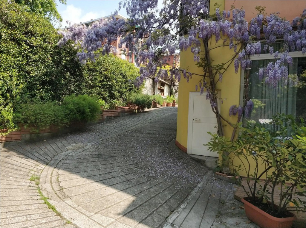Loft Sottolalbero