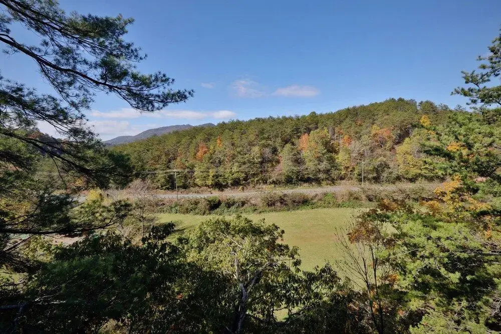 Blessed Nest 4 Br cabin by RedAwning