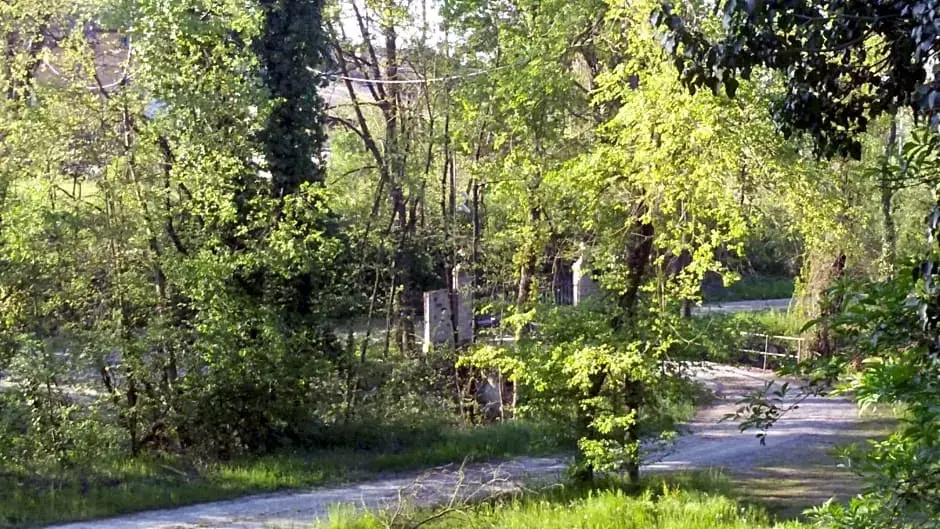 Casa Nel Bosco