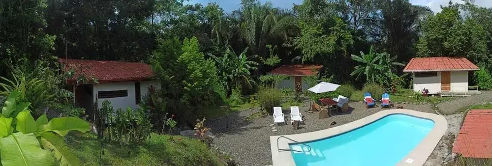 Selva Linda Lodge jungle wildlife vue and birdwatching