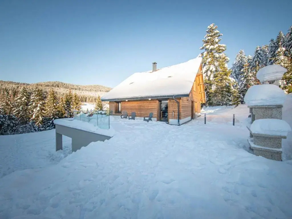 Chalet familial spacieux avec SPA, salle de jeux, près des pistes - 14 pers, Vosges - FR-1-589-366