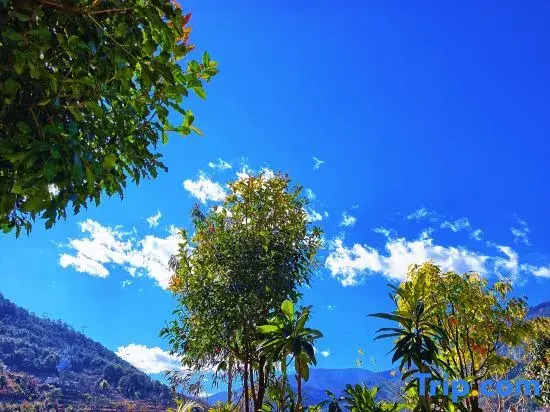 Lulin Mountain Villa Homestay (Shangri-La Tiger Leaping Gorge Scenic Area Branch)