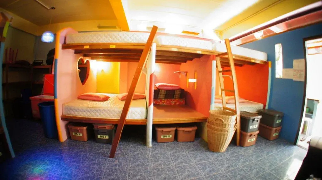 Dancing Elephant N 1 Party Hostel