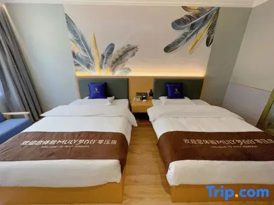 Super 8 Collection Hotel (Lianyungang High-speed Railway Station Food Pedestrian Street)
