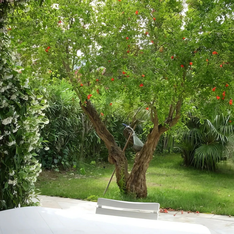 Welcomely - Natural Garden