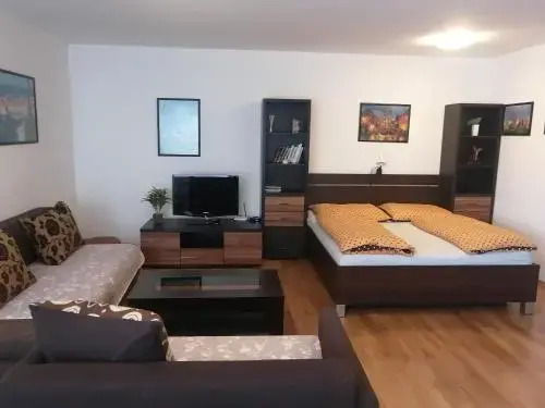 Modern and cosy apartment in city center