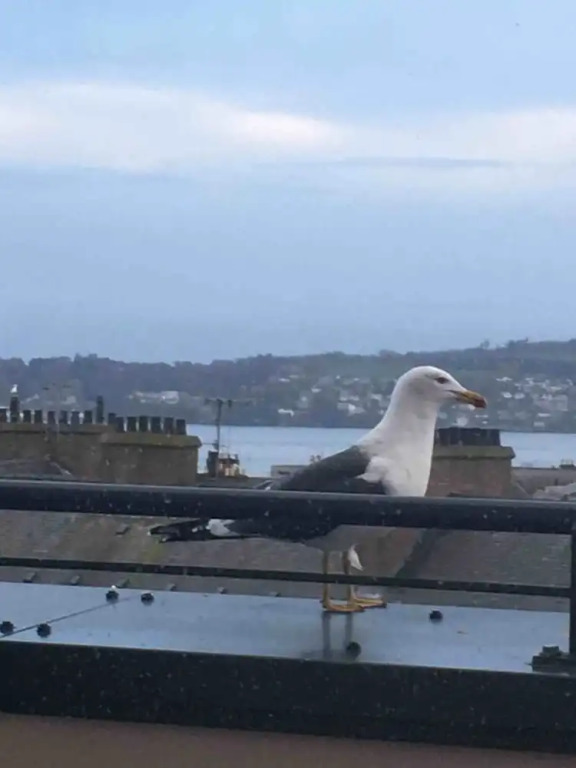 The Hotel Broughty Ferry