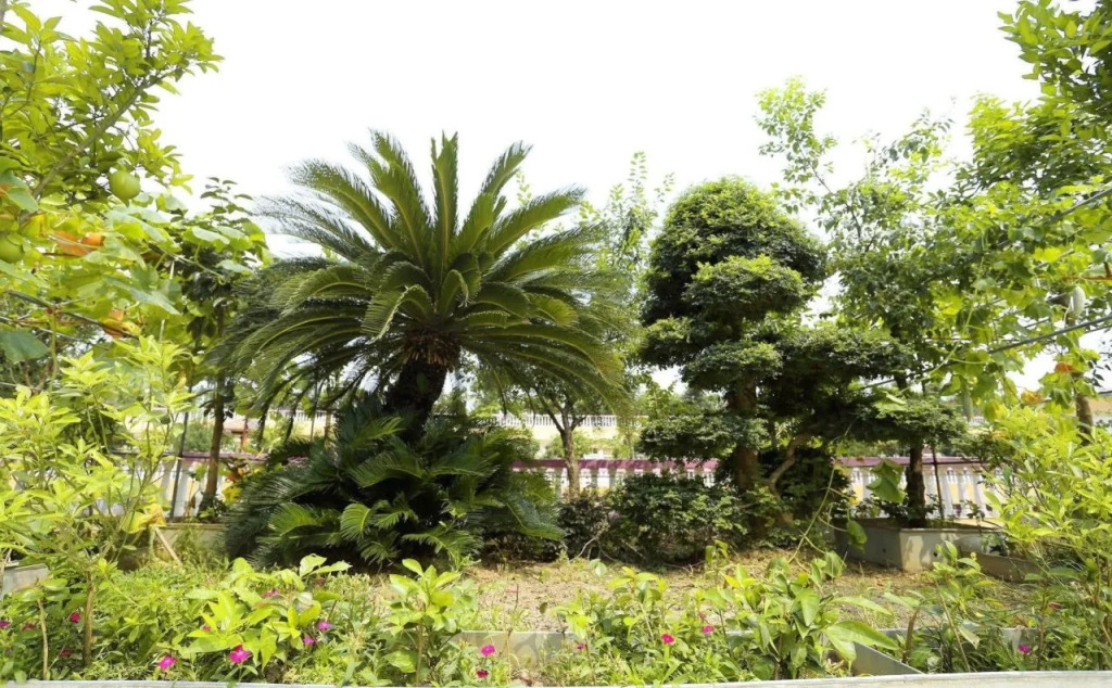Wuhan New Expo Landscape Hotel