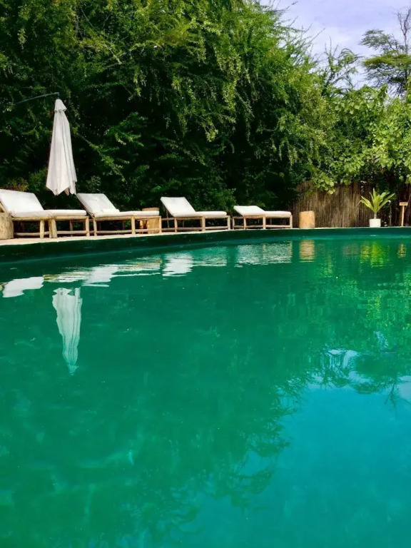 The Jungle Pearl Resort