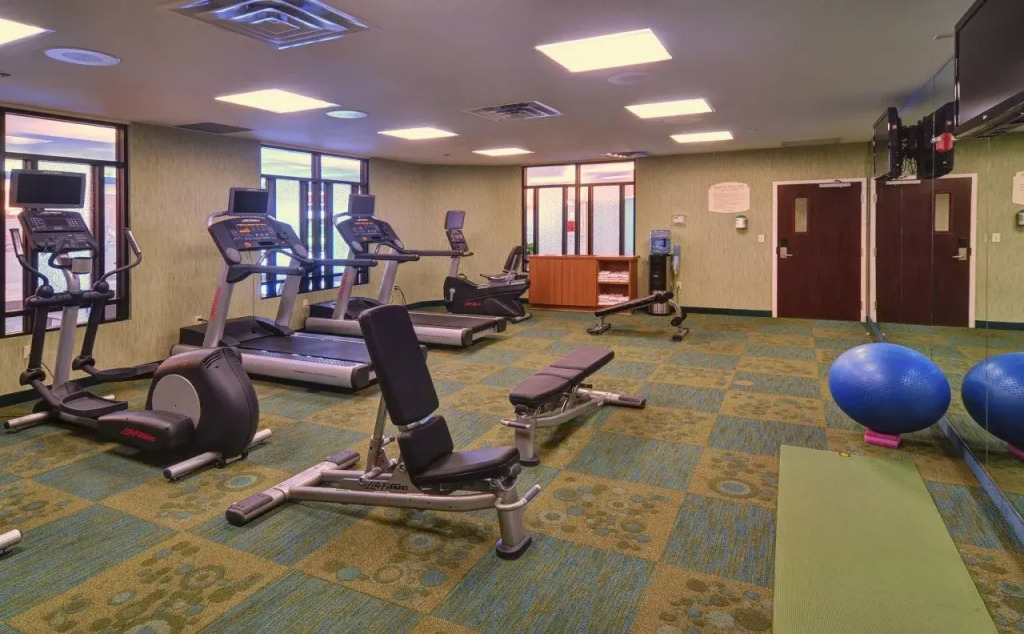 SpringHill Suites by Marriott Dallas DFW Airport East Las Colinas Irving