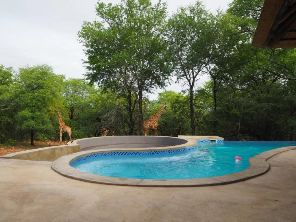 Pata Pata House