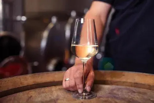 Winzerhof Supperer