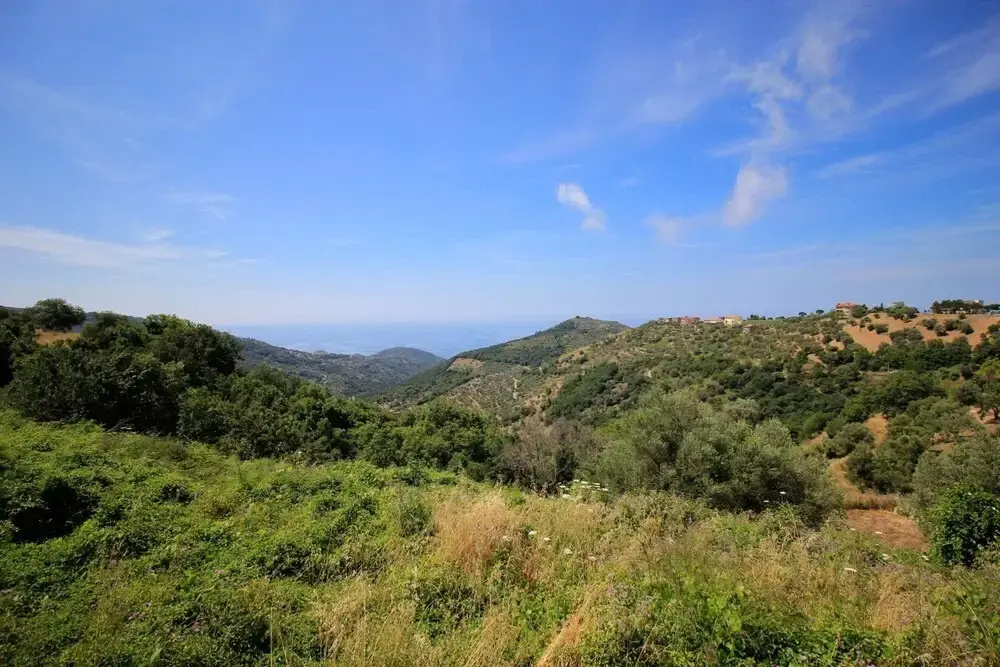 Magico Orizzonte