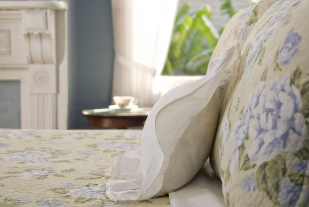 Southern Comfort Bed and Breakfast