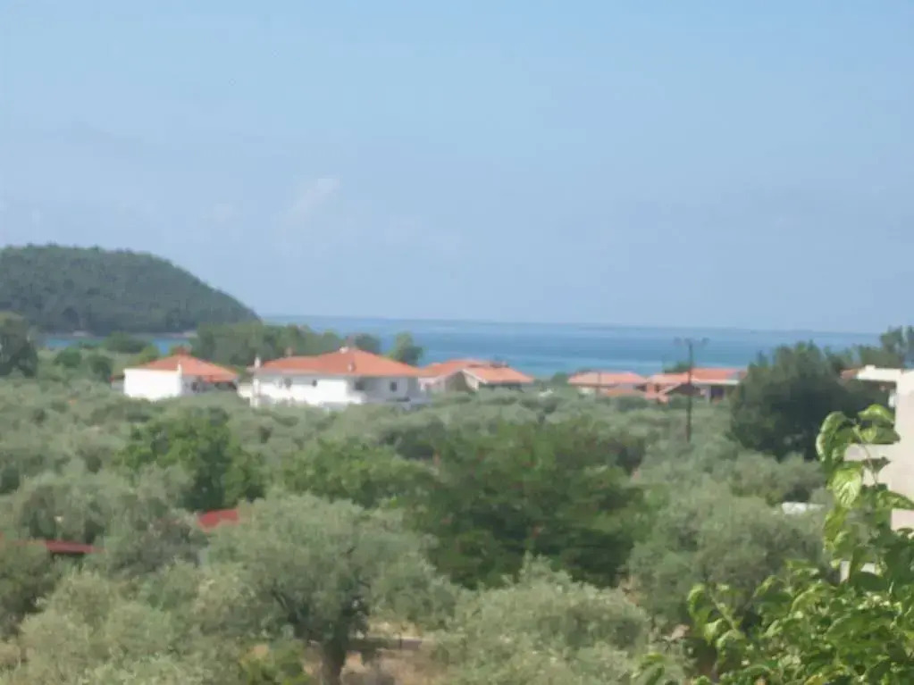 Lina Studios