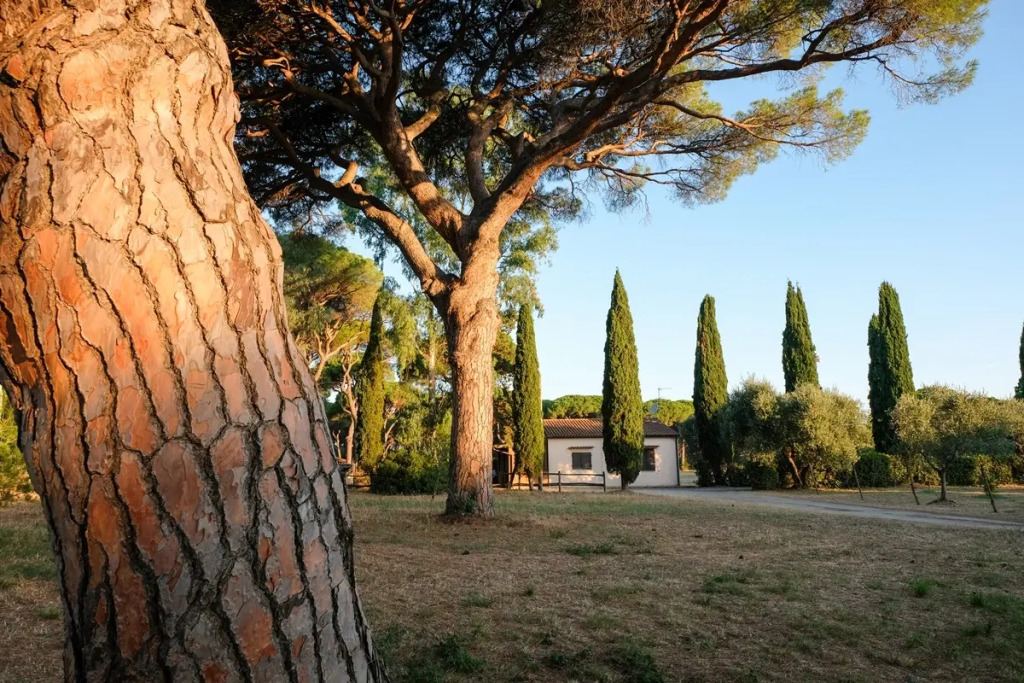 Residence La Canova II
