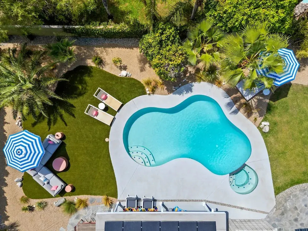 Kaptur Palms