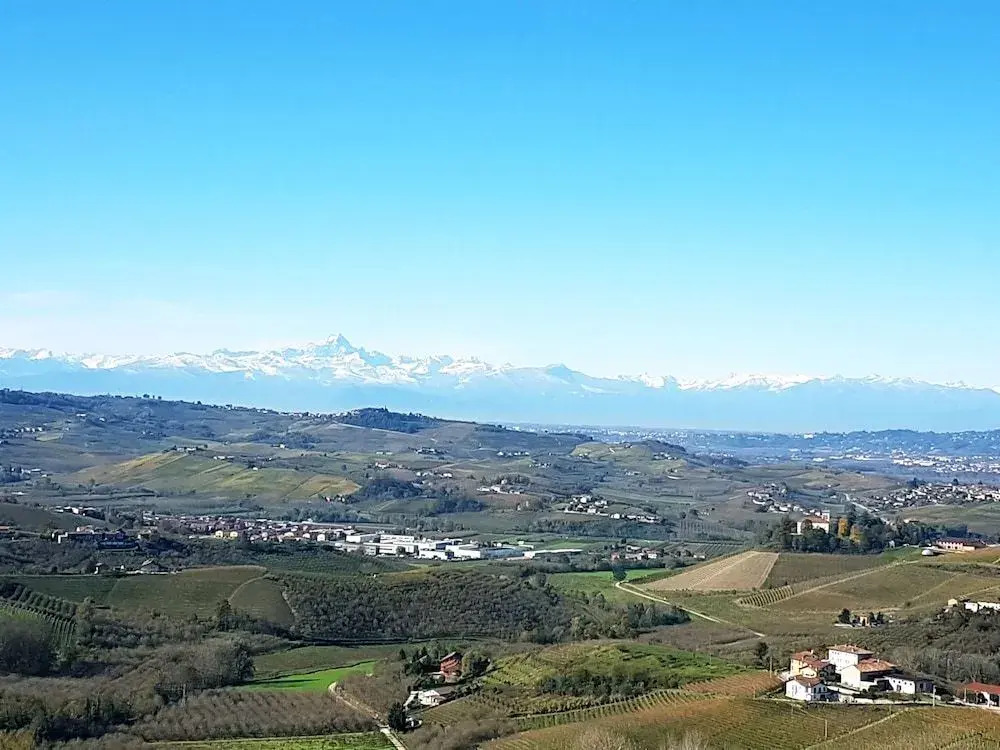 Villa Bellavista Alba, B&B