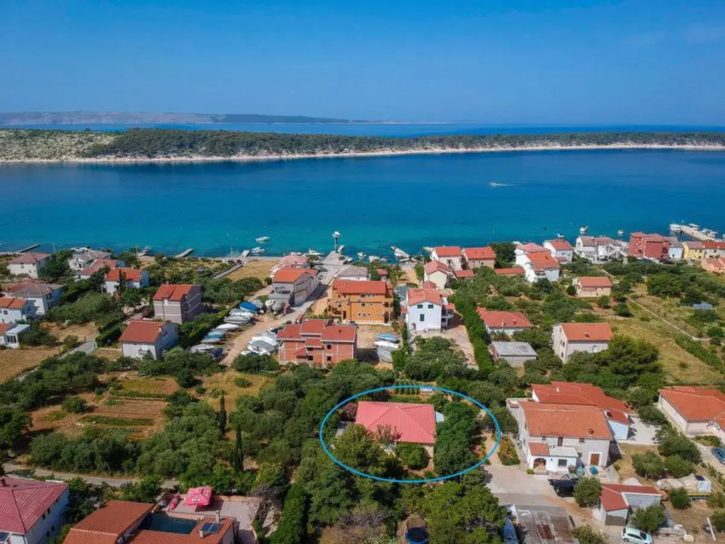 Andela (RAB170)