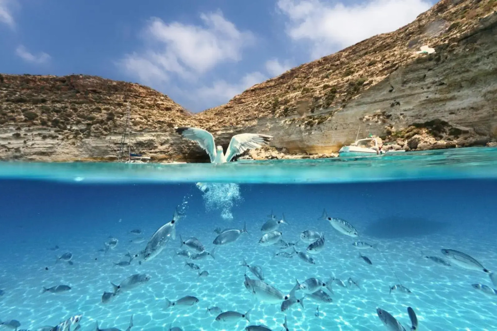 Appartamenti Pomelia - Lampedusa