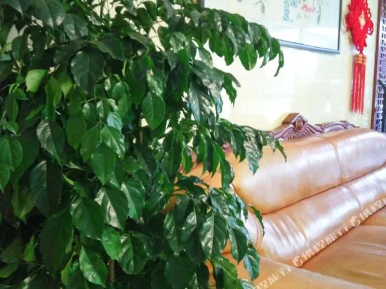 Ripple Hotel (Yingkou Wanda Plaza Bus Station)