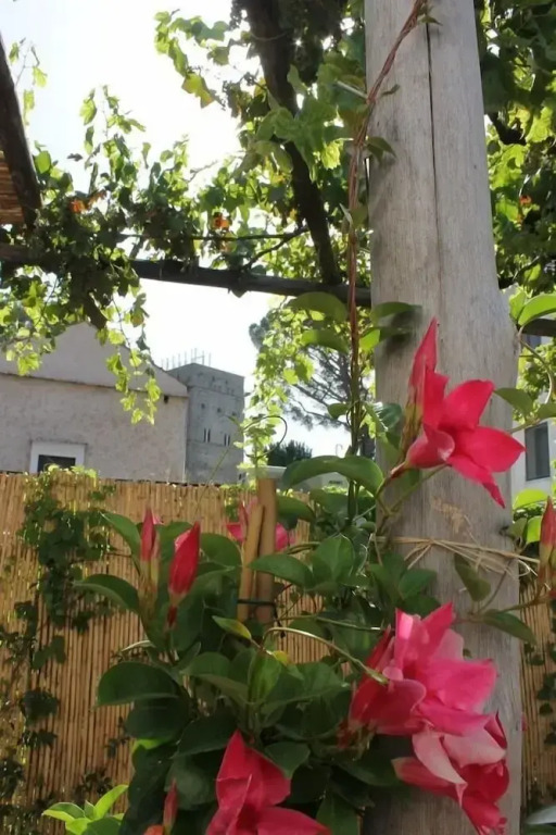 Gelsomino Rooms Ravello