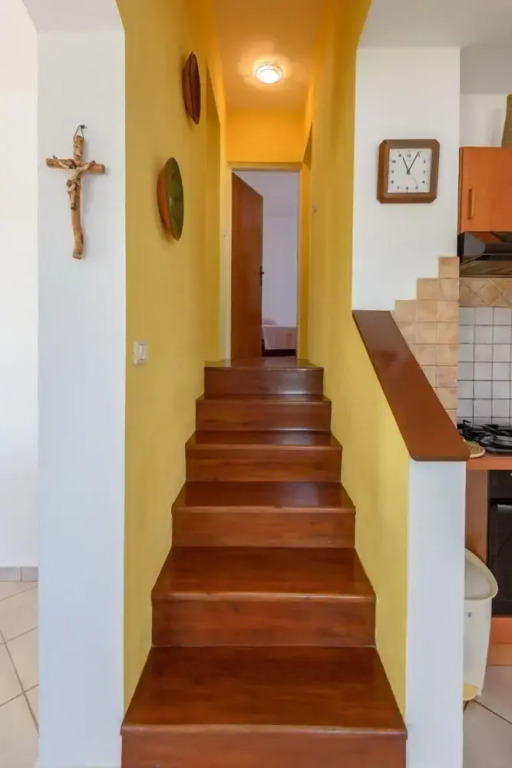 House Mirta