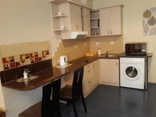 Town Center Studio Apartment