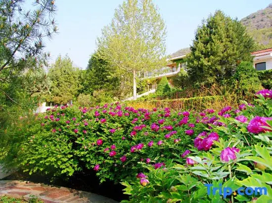 Wuling Mountain Villa