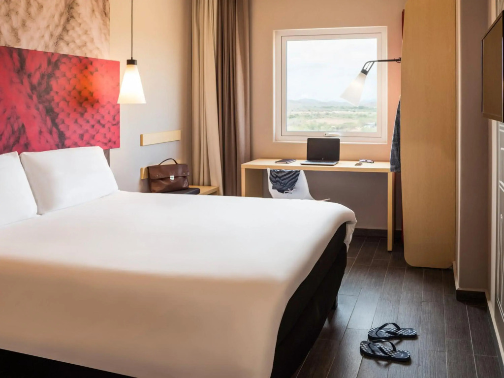 Ibis Torreon