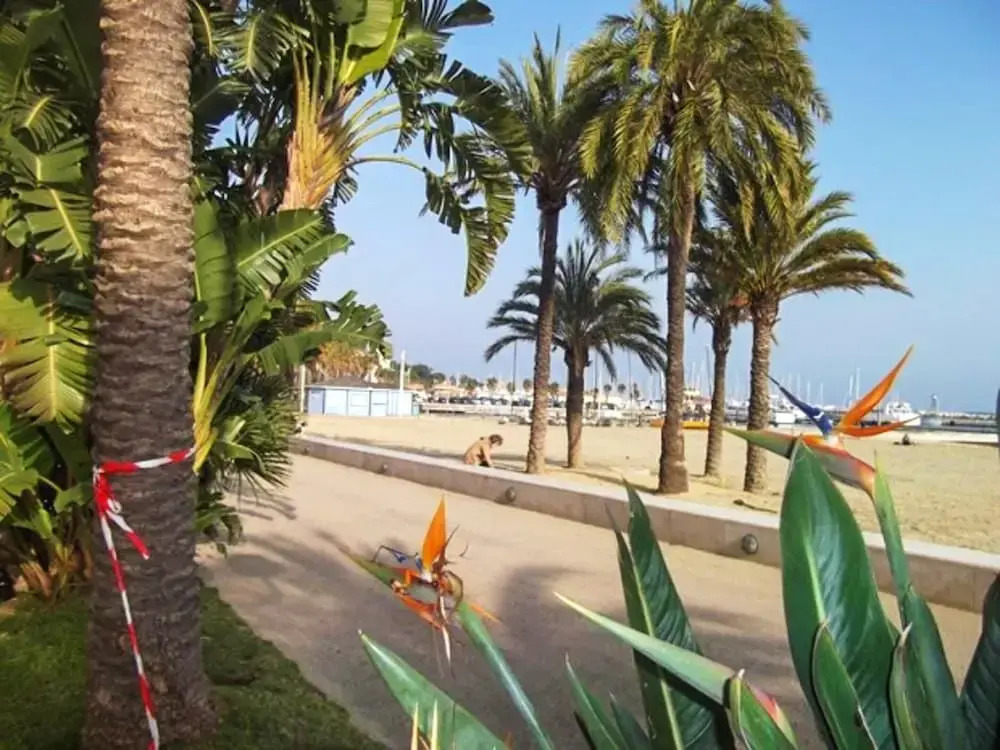 Apartment With one Bedroom in Le Lavandou, With Wonderful sea View and