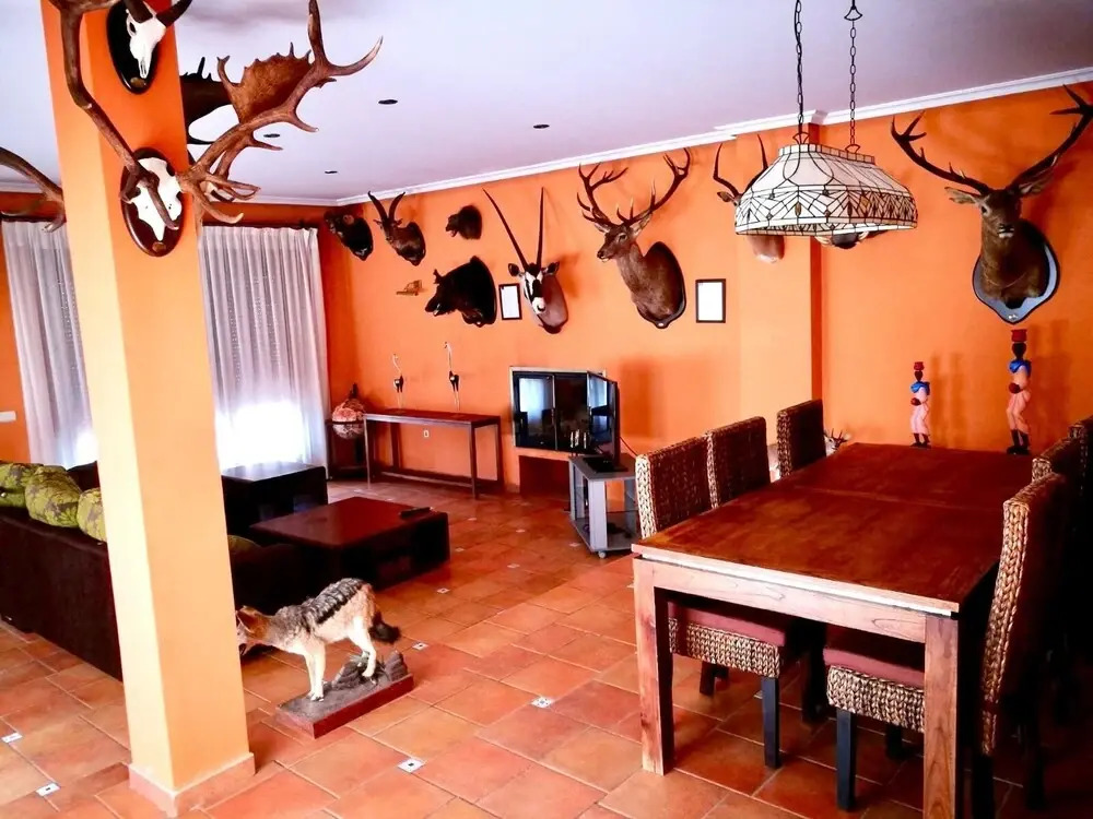 Luxurious Villa in Arcas with Private Pool