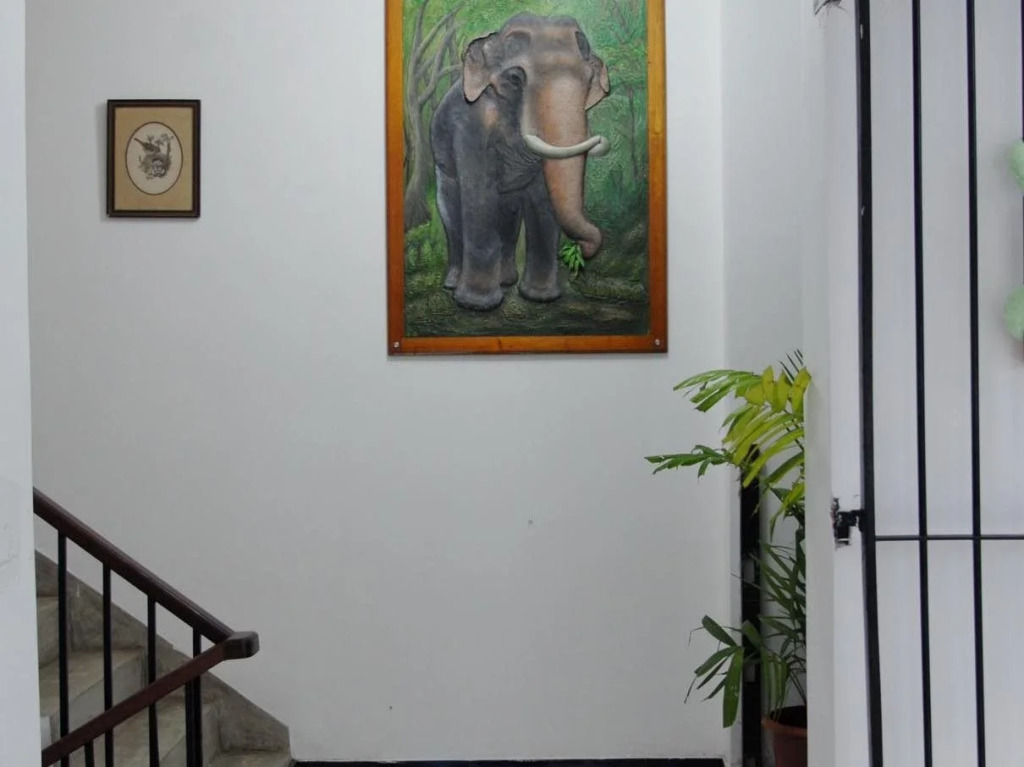 Eagle's Residence