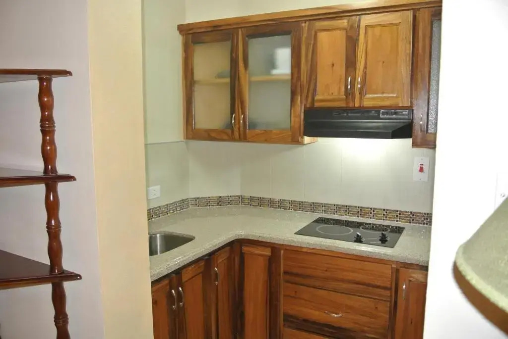 Beach One Bedroom Suite 13