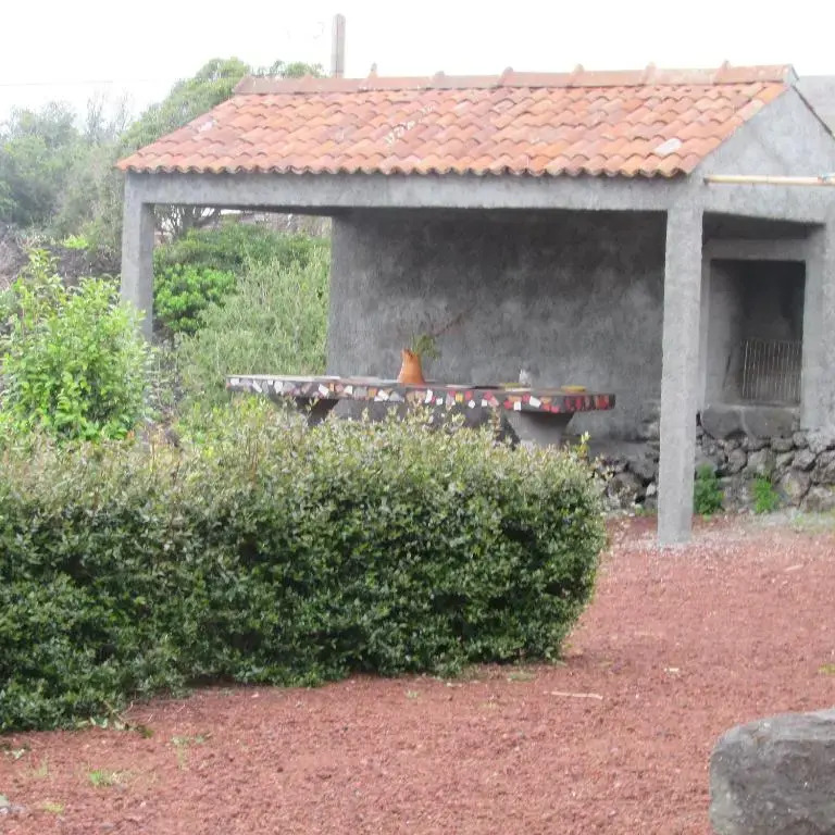 Adega do Gato