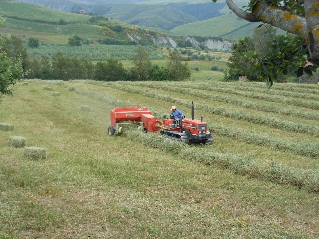 Agriturismo Collomici
