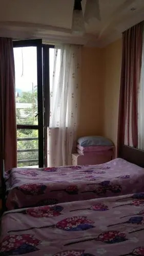 Elizabeth's House