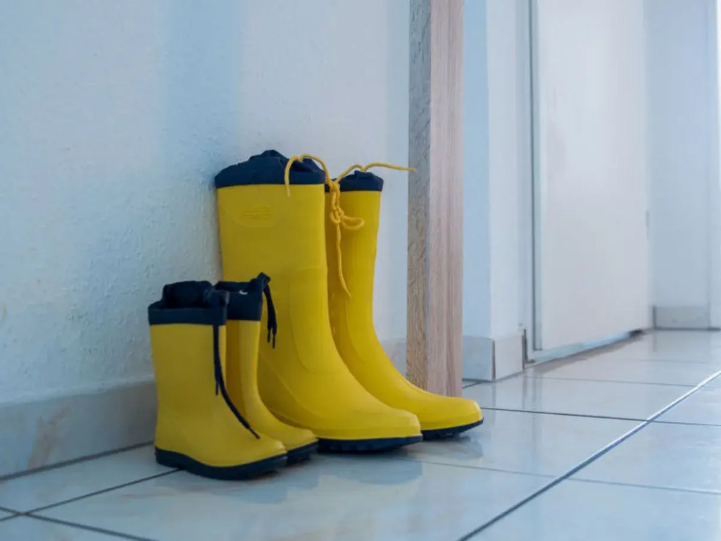 Apartment Seestern Norddeich 20996