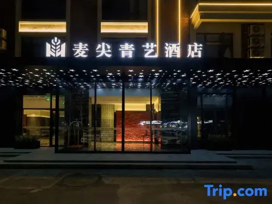 Magine Hotel (Shenyang Zhangshi District, Shenliao Road Branch)