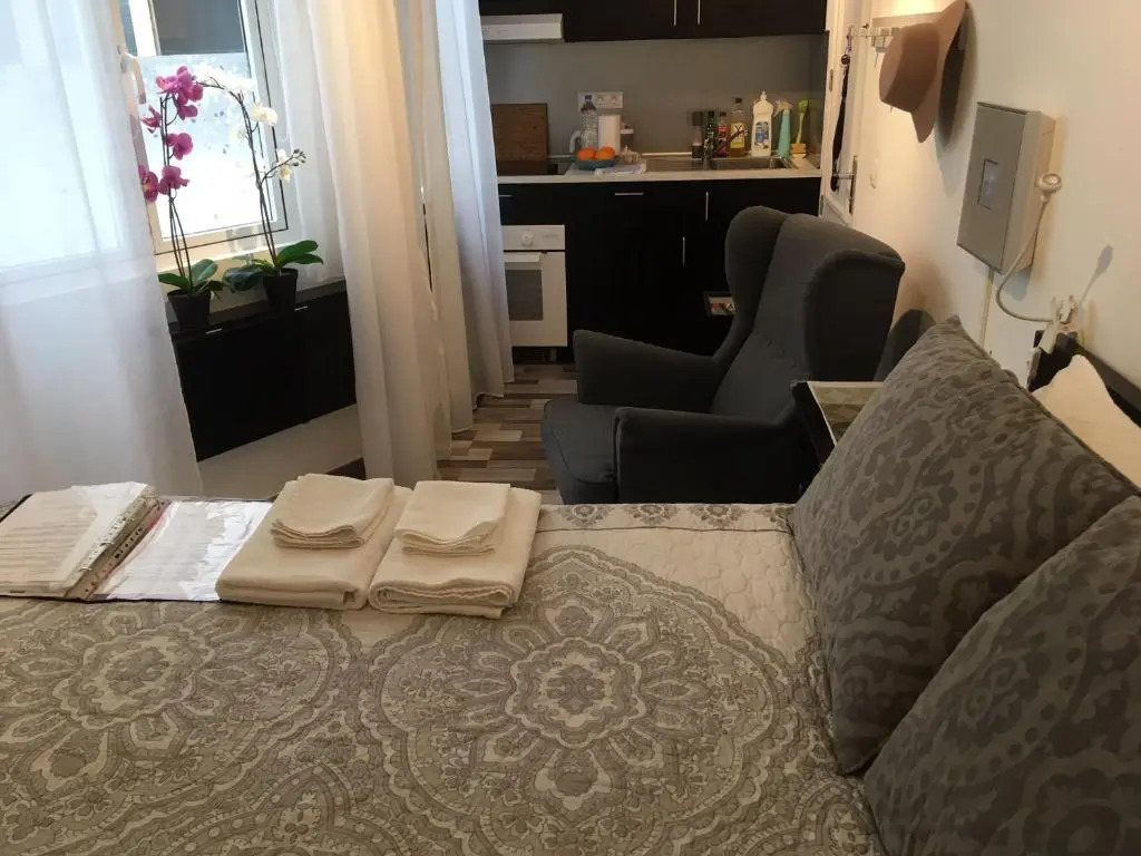 Astoria Double-Studio Interior serviced apartment