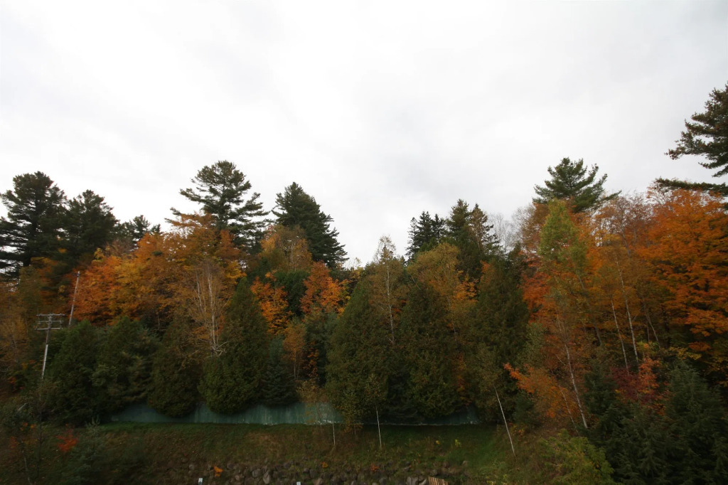 Grand Adirondack Hotel, Lake Placid, a Tribute Portfolio Hotel