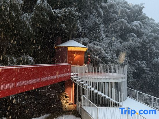 Looking at the Mountains - Mountain and Wildstream Homestay
