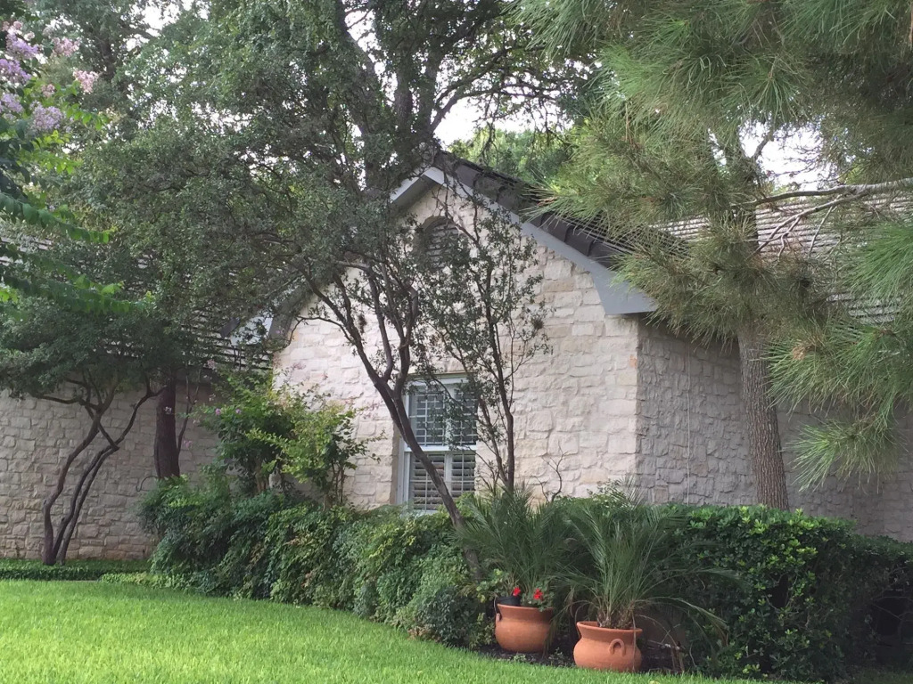 Park Lane Guest House
