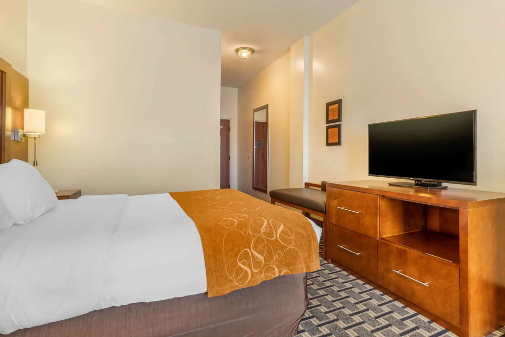 Comfort Inn Summerville - Charleston