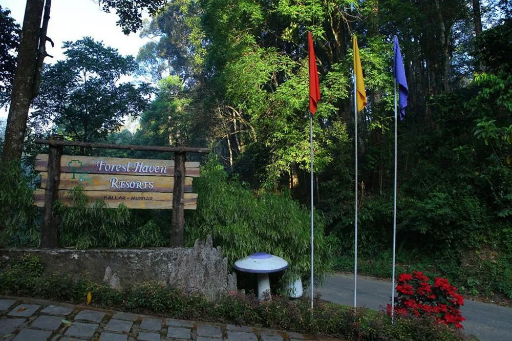 Forest Haven Resort